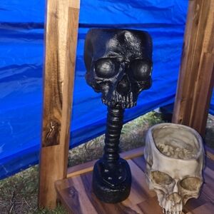 Black Skull Planter Sculpture for Home Decor